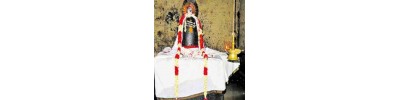 திட்டக்குடி